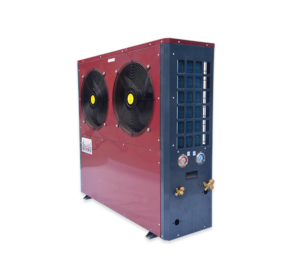 1597910127289506.jpg 5p.jpg